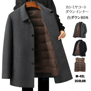 JV~R[g Y _E85 E[R[g 2_Zbg r _ER[g `FX^[R[g JV~ rWlXR[g h ʋ΃R[g am 傫TCY ~