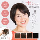 【テレビ通販で反響】パットポン PP02 部分かつら 人毛100％部分ウィッグトップピース ヘアピース 白髪隠し 薄毛隠し…