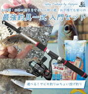 【導入・入門セット】サビキ釣りセット 投げ釣りセット リール 釣り針 竿 サビキ仕掛け 投げ釣り　対象魚…
