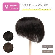 【返品OK】部分 ウィッグ 人毛100% 総手植え ミセス 自然 薄毛 脱毛症 白髪隠し 増毛 分け目 つむじ ヘア…