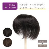 【返品OK】部分 ウィッグ 人毛100% 総手植え ミセス 自然 薄毛 白髪隠し 分け目 つむじ ヘアピース 女性…