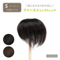 【返品OK】部分 ウィッグ 人毛100% 総手植え ミセス 自然 部分かつら 薄毛 増毛 つけ毛 白髪隠し 女性用 …