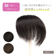 【返品OK】部分 ウィッグ 人毛100% 総手植え ミセス 自然 薄毛 脱毛症 白髪隠し 増毛 分け目 つむじ ヘア…