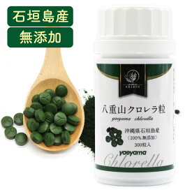 クロレラ 八重山クロレラ粒 ヤエヤマクロレラ 300粒(1ヶ月分) 無添加 サプリメント 送料無料 八重山殖産 小球藻 クロレラ粉末 クロレラ オーガニック クロレラ 国産 クロロフィル 腸活 ヤエヤマクロレラ 沖縄県 石垣島 美容 健康 腸活