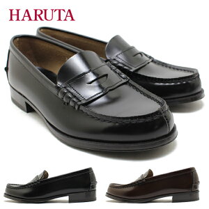 HARUTA n^ ԃU[RC[t@[ 3048 ubN uE 3E {v { Vv ʊw w i [t@[ fB[X