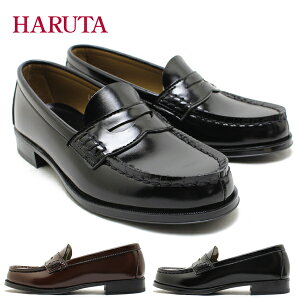 HARUTA n^ ԃRC[t@[ 4514 ubN uE 2E { Vv ʊw w i [t@[ fB[X