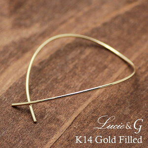 Lucie&G V[EAW[ K14GFEWvV[sAX yGFP-1006zyt[vsAX S[htBh {Y by boe oC{[DȕɂIXXz