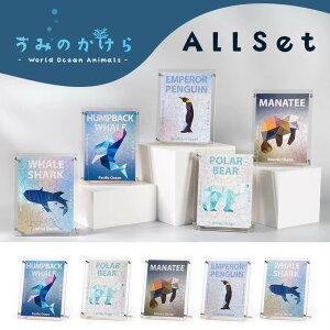 C̐w mpYypt[tzؐ RpNg pYyŊ뜜zUgENW REeCyM WxGU zbLNO} }ieB }CNs[X  WO\