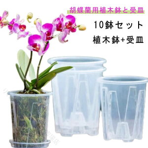 �Ӓ����� �����|�b�g ���t�� �v���X�`�b�N�� ��M�t�� 10���Z�b�g �I�[�L�b�h�|�b�g �m���� �ϗt�A�� �����A�� ��c�|�b�g ���� ���O �A���ւ� �ʋC�� ���a10cm 12cm 14cm 16cm �������� ���͂� ��