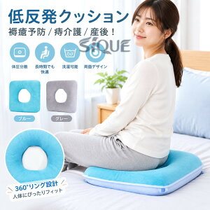 ���p�N�b�V���� ��጗\�h ������h�~�⏕�p�� �Q�p���N�b�V���� 43cmx43cm 37cmx37cm ���p �x�b�h ����� �V�l ���{�� �p�� �Y�� ��̓� ���̓� �h�V�̓� �p���T�|�[�g �̈����U ���p�i
