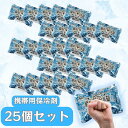 アイスジャパン 瞬間冷却剤 〔 パンチクール × 25個 セット 〕携帯用保冷剤 〈 スポーツ/発熱/頭痛/ドライブ 〉 熱中…