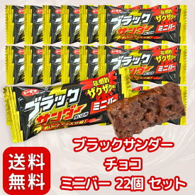 ブラックサンダー チョコ ミニバー 22個 約264g ビスケット× チョコレート 〔個包装/お菓子/大容量〕一口サイズ シェア カカオ感アップ