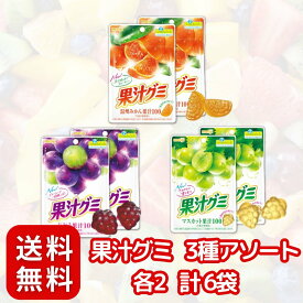明治 果汁グミ 3種アソート 果汁100% 〈 みかん ぶどう マスカット 〉 グミ 詰め合わせ セット (果汁感UP！ 楽しく食べ比べ 3種の味)