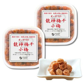 オーサワジャパン 【 龍神梅 梅干 小梅 150g 2個 】送料無料 塩分補給〔 おにぎり / おかゆ 〕 うめぼし 無添加