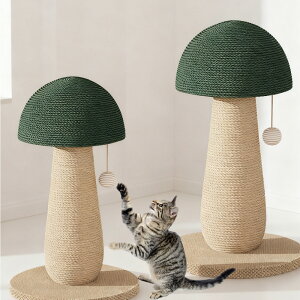 �L�߂Ƃ� �L �܌��� �V�R�T�C�U�����R �o��� �Ⴂ ��� �ϋv�� �����u�� ���� ���̂� �|�[�� �� �R���p�N�g ������� �Ƌ�̑����h�~ �X�g���X���� �^���s������ �g���ȒP 30��36cm