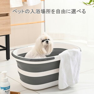 ybgp oX^u  LoX^u 35L e ܂肽ݎ t xV[ xr[oX ^ L RpNg [ LX^[t