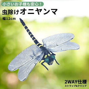 y5I2_ȏ10%OFFN[|z Ij}  12cm ɂ tBMA St A g{ 悯 ΍ Sst Xgbvt ނ Ro Lbv 悯͌^ 