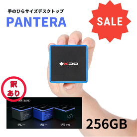 （訳あり）【手のひらサイズのデスクトップ】ポケットに入る世界最小級PC Pantera 256GB パソコン 小さい 持ち運び 人気モデル ミニマリスト Windows10