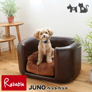 PETTO/ybgg JUNO[Wm] ybgp\t@ uE pELp ybgxbh i yN/Y 162.5z