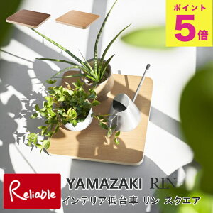 CeA  XNGA R RIN ω׏d30kg uE i` 10064 10065 yamazaki y68z