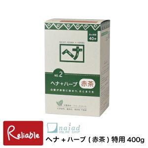 iCA[h [ wi+n[u pTCY400g (Ԓ) ]  ї 炳wA i`n[u2 AwAJ[ wi ѐ naiadyS 41zyŒZz