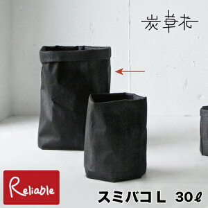 [ Y X~oRL ] 30L [ ꕨ [ ؒY sDz EL  ЂÂ J[{ TXeiu SDGs GRyS/Y 91z