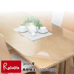 yYzDꂽIPS}bgX[p[ 3mm p^ 100×260cm ʎHi EI`YƁyC/126z