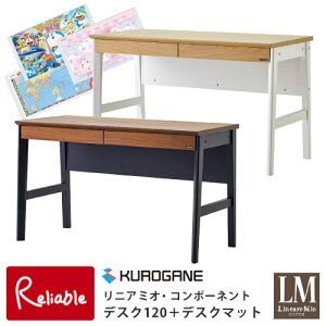 _r[TΏہ^ 2025N 낪 wKfXNyfXN}bgtz ZD-120NA ZD-120BR jA~I R|[lg fXNPi 120cm ݑ[N wK yre1zy212.5/145.5z