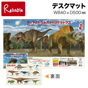 яo DM-18RX fXN}bg 낪 wK w wvX R{ 3DCG AR Av  eBmTEX gPgvX fXNV[g j̎q 2021-2024NxyŒZz
