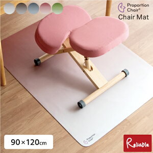 v|[V`FA}bg (90×120cm) PMT-1290 ی LYh~ h ~ߑf g[Ή  `FA}bg Of[VJ[ {쏊yY/C 112z