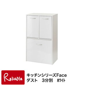 fy-0028 Lb`V[Yface 3ʃ_Xg{bNX zCg 54.5 yEԎwszyc 149z