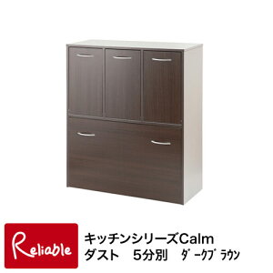fy-0033 キッチンシリーズCalm ダストボックス 5分別 ゴミ箱 ブラウン 【代引き・時間指定不可】【c 153】