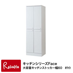 fy-0041 e Lb`XgbJ[ 60cm zCg yEԎwszyc 159z