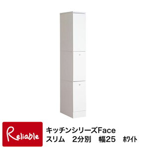 fy-0050 Lb`V[YFace X 2 25 yEԎwszyc 128z