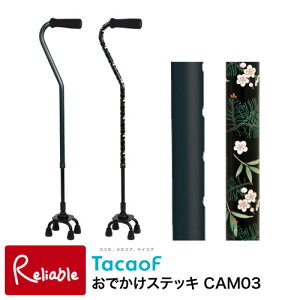 łXebL O[(CAM03-GY) ubN(CAM03-BK) ł Oo s s⏕ pi Ka쏊 eCRu y122z