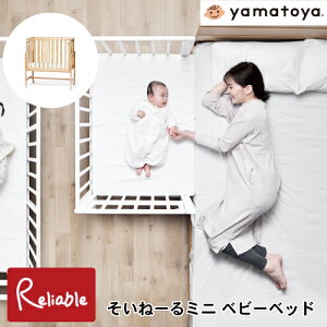 _r[TΏہ^ [ˁ[~j xr[xbh] soinel mini i` zCg V`24 YQ LX^[t ړyX rO xbh LbYxbh qǂƋ a y