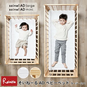 _r[TΏہ^ [ˁ[AD[W xr[xbh] [ˁ[AD~j xr[xbh] soinel large mini i` zCg V`6 YQ xbh LbYxbh qǂƋ a