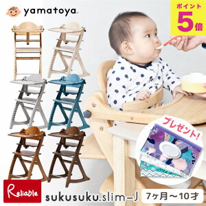 _T!^ `FA X-J X XJ sukusuku a yamatoya xr[`FA ؐ Vv H  LbY`FA ǂ q ֎q yre1zy157.5z