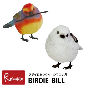 BIRDIE BILL ロングテイルドティッド(2915) ホワイトブロードティッド(57985) バーディビル シマエナガ フジイロムシクイ 文房具 文具 magnet【S】【あす楽対応】