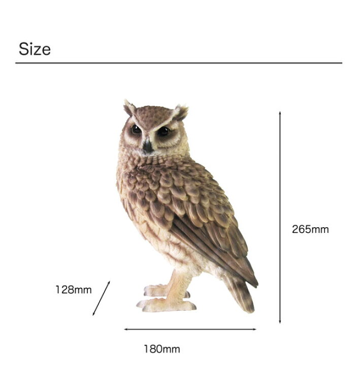 楽天市場】PET BANK(ペットバンク) LONGEARED OWL ロングイヤード 