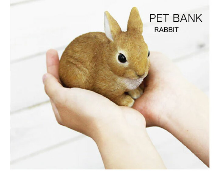 楽天市場】PET BANK(ペットバンク) RABBIT ウサギ(974)ラビット 貯金箱 