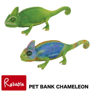 PET BANK CHAMELEON(ybgoN JI)yCHAMELEON JI@O[/C{[z500~ʒ AȃAj} CeA u Mtg  oN magnetyS/Y 51.5z