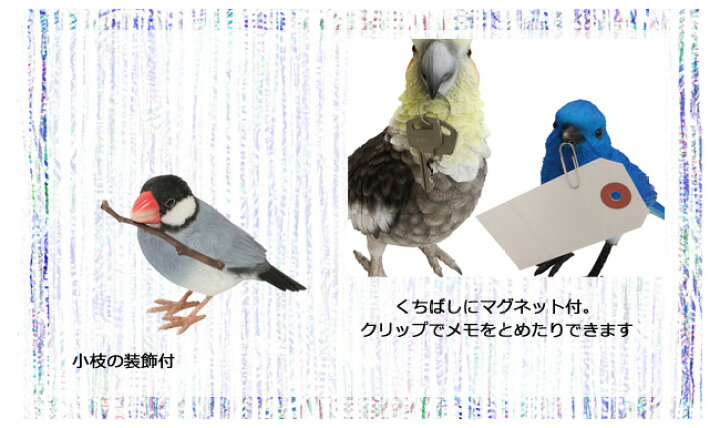 楽天市場 バーディビル Birdie Bill 桜文鳥 白文鳥 コキンチョウ スズメ 文鳥たちのクリップホルダー 小鳥 文鳥 クリップホルダー オブジェ リアル メッセージバード バーディービル バードビル Java Sparrow Agate White Gouldian Finch Magnet インテリア通販