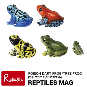 レプタイルズマグ ヤドクガエル・アマガエル REPTILES MAG DART FROGS・TREE FROG カエルの形のマグネット クリップホルダー 文房具 文具 ステーショナリー オブジェ リアル magnet【最短発送】