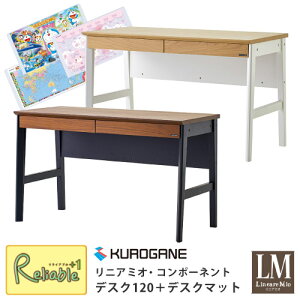 _r[TΏہ^낪 jA~I R|[lg fXNPi 120cm yfXN}bgtz wKfXN 2025N ZD-120NA ZD-120BR ݑ[N wK yre1zy212.5/145.5z