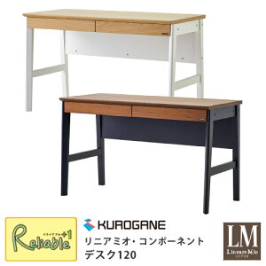 _r[TΏہ^낪 jA~I R|[lg fXNPi 120cm 2025N wKfXN ZD-120NA ZD-120BR ݑ[N wK yre1zy212.5/145.5z