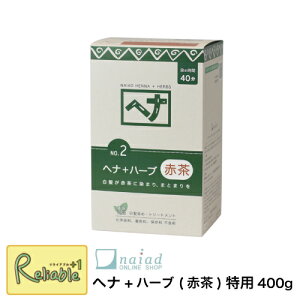 iCA[h naiad [wi+n[u pTCY400g (Ԓ)]  ї 炳wA i`n[u2 AwAJ[ wi ѐ߁yS 41zyŒZz