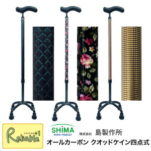 I[J[{ NIbhPC l_ 70C J[{NB(70C-4) ԕNB(70C-F4) iqBR(70C-C1)  XebL 쏊 4_ y ł  Oo s X}[gyS/97.5z