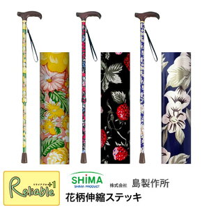 ԕLkXebL ԕBR(46-F1) ԕBK(46-F2) ԕB(46-F4) 쏊  { Lk XebL@ł Oo s X}[gyS/86.6z