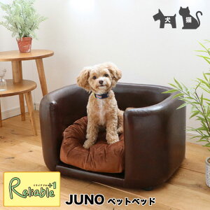 PETTO/ybgg JUNO[Wm] ybgp\t@ uE pELp ybgxbh i yN 162.5z